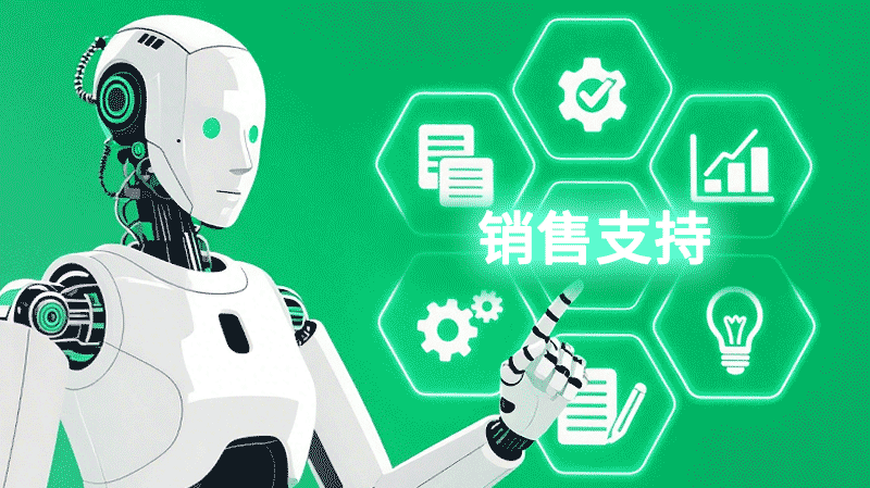 销售指导和支持